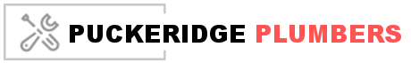 Plumbers Puckeridge logo